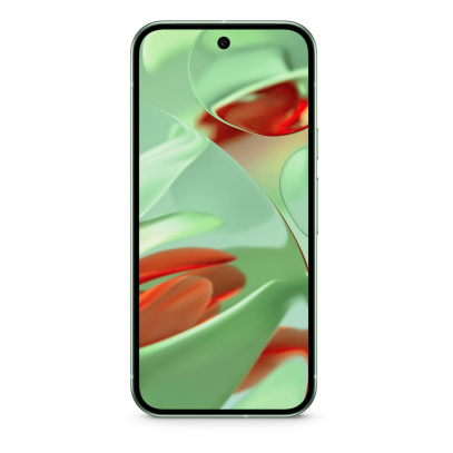 Google Pixel 9 128Gb Wintergreen, зелёный