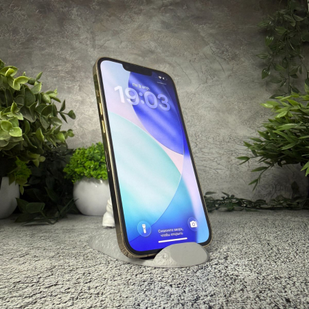 Trade in Apple iPhone 13 Pro 256Gb Gold IMEI: 1100